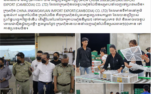 外媒关注|柬埔寨农林渔业部专题报道金果源进出口（柬埔寨）公司