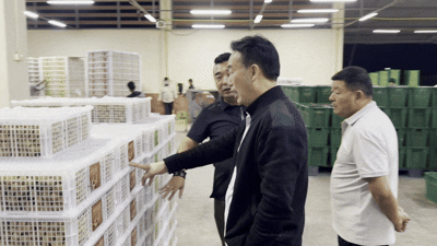 6847776b4e8e47be7206764ec38d9cfb_raw