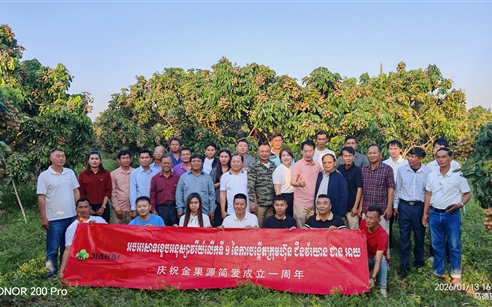 迎春节、庆周年、谋发展——金果源执行董事艾中华赴柬埔寨一线督导龙眼生产